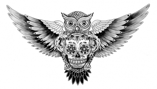 baykus-amblem-logo