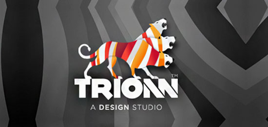 kreatif-logo-ornekleri-trionn
