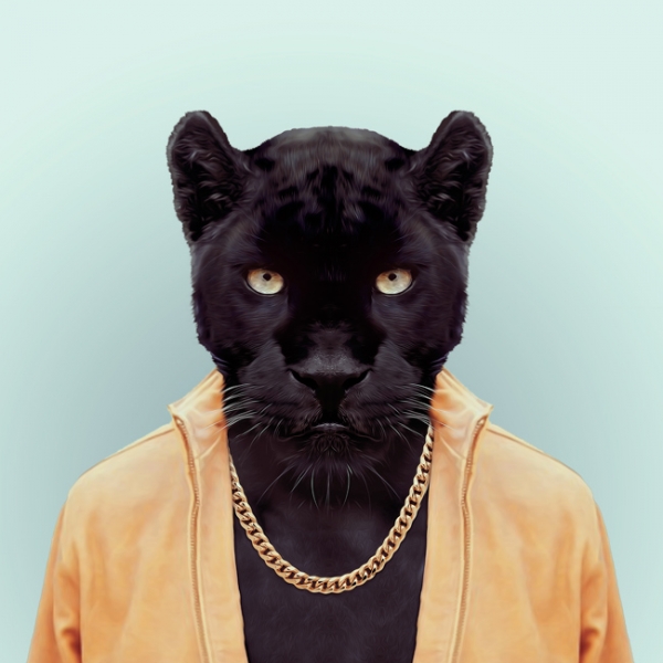 hayvanlar-dunyasi-jaguar