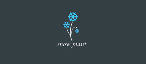 kar-tanesi-logo-tasarimi-22-twentytwo-snowplant
