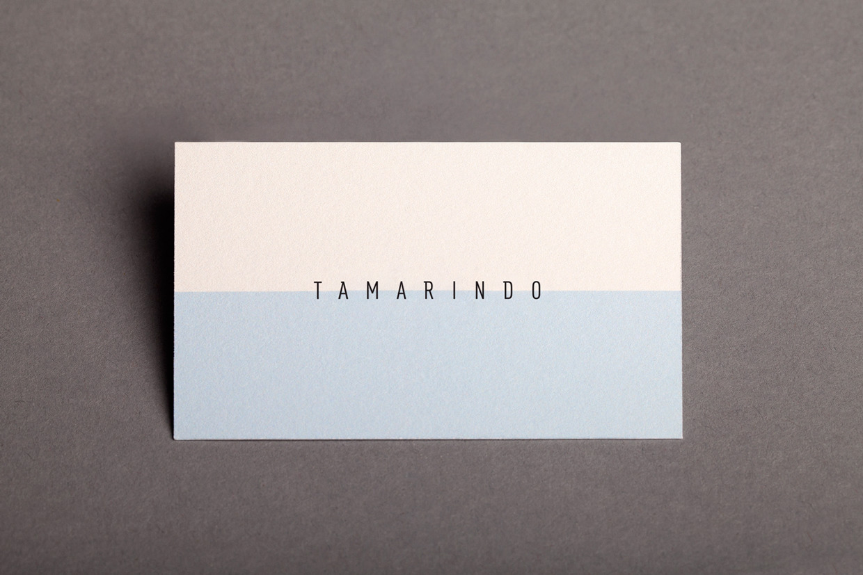 tamarindo-kurumsal-kimlik-1